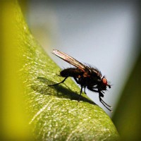 /album/sorroufire/photolia-a04-jpg/