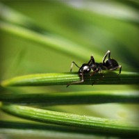 /album/sorroufire/photolia-a05-jpg/