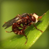 /album/sorroufire/photolia-a06-jpg/