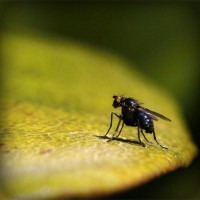 /album/sorroufire/photolia-a07-jpg/